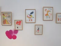 Jacky Winter Gallery