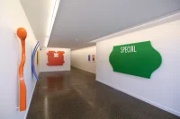 Jacky Winter Gallery