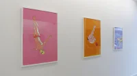 Jacky Winter Gallery