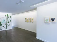 Jacky Winter Gallery