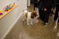 Jacky Winter Gallery