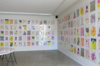 Jacky Winter Gallery
