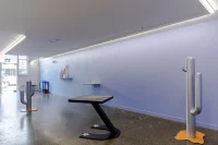 Jacky Winter Gallery