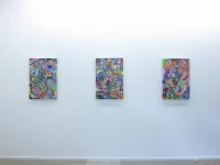 Jacky Winter Gallery