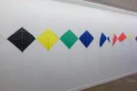 Jacky Winter Gallery