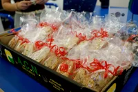 Jacky Winter Gallery