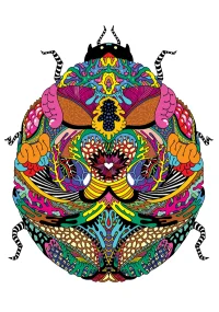 Jacky Winter Gallery