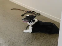 Jacky Winter Gallery