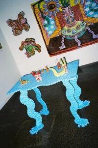 Jacky Winter Gallery