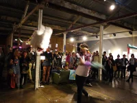 Jacky Winter Gallery