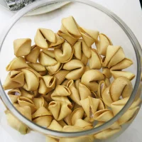 Jacky Winter Gallery