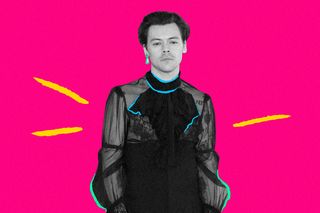 Harry Styles queerbaiting