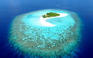 small islands may not drown