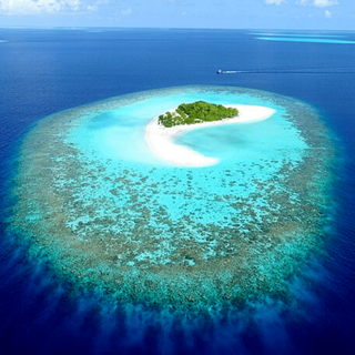 small islands may not drown