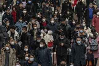 coronavirus symptoms india