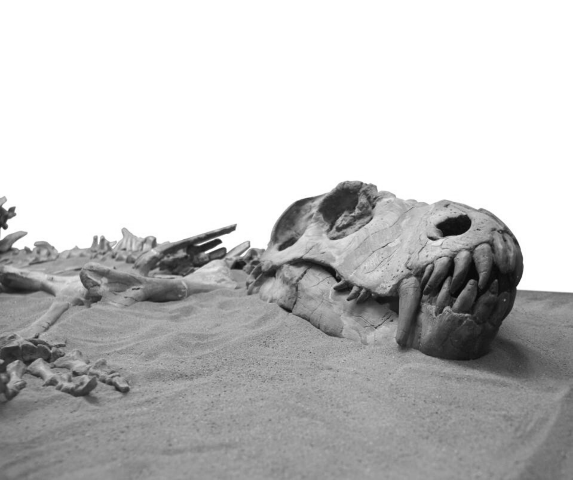 what causes mass extinctions