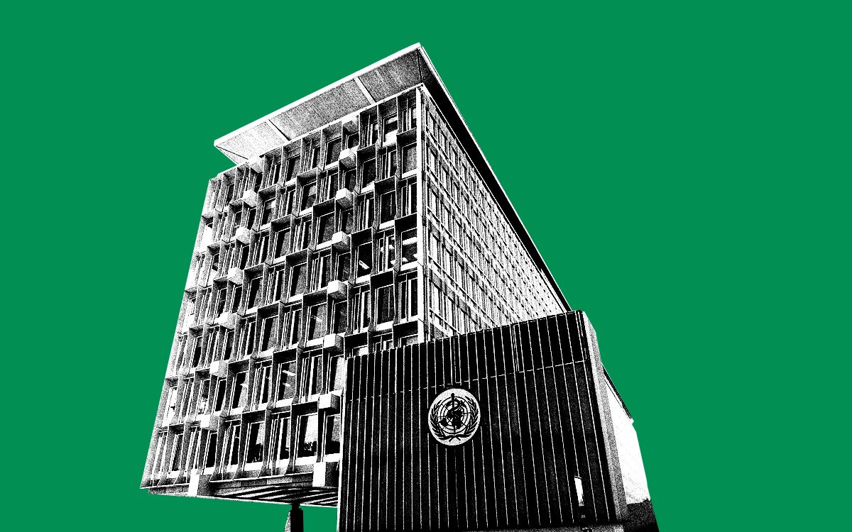 cholera climate change