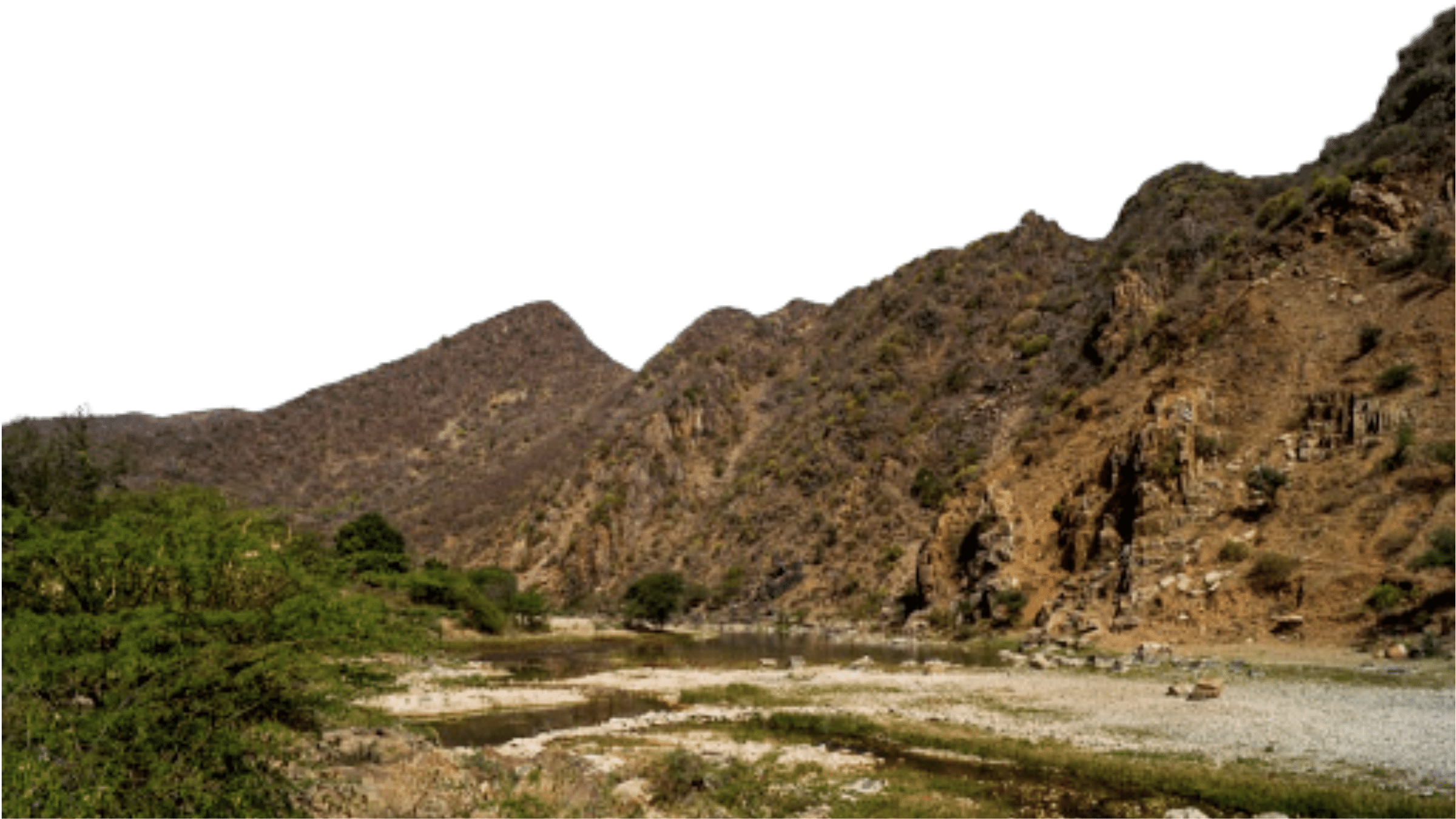 which wildlife species are found in haryana aravalli