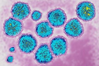 what is hepatitis c
