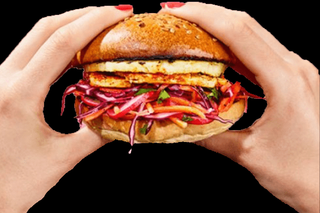 meat without animals