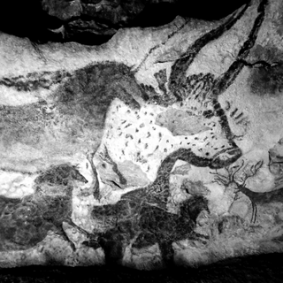 cave paintings under hallucination