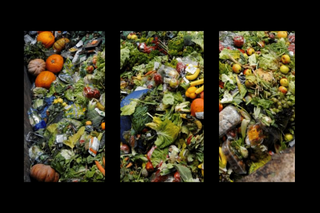 food waste UN