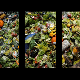 food waste UN