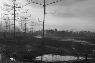is the baghjan fire still burning in assam