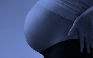 international surrogacy laws