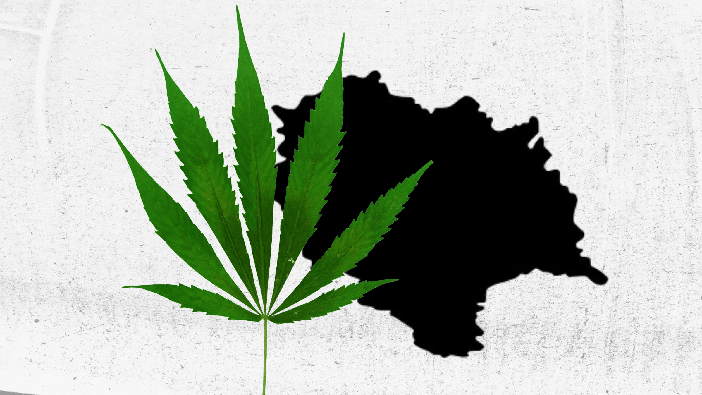 does himachal pradesh allow cannabis cultivation