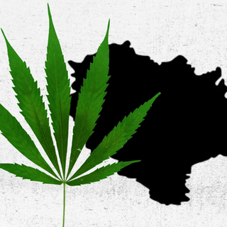 does himachal pradesh allow cannabis cultivation