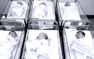 Kerala newborn screening