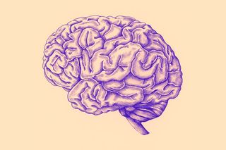 risk factors for alzheimer's disease