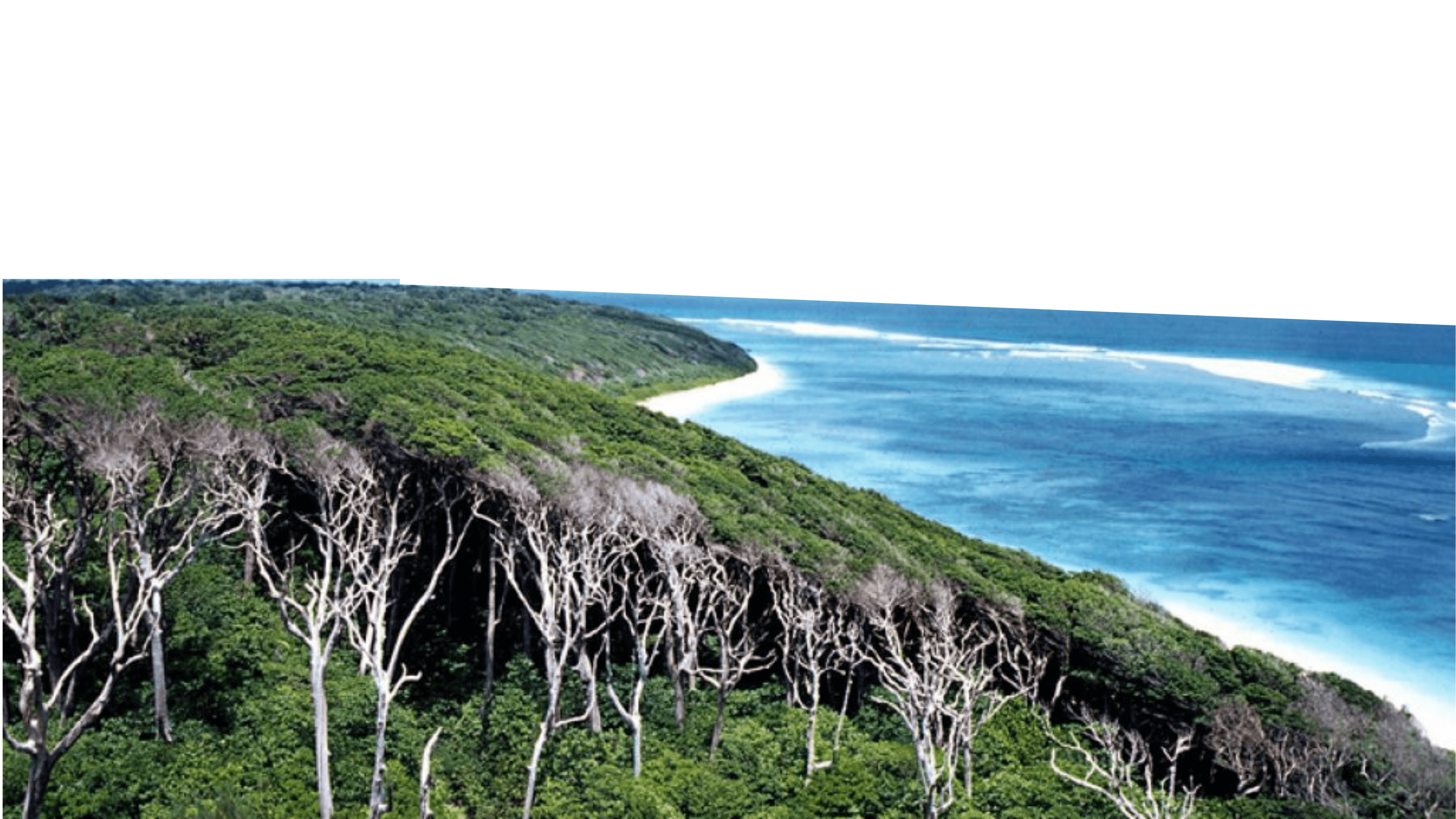 andaman island development