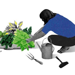 why gardening is good for mental health