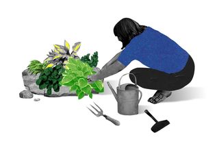 why gardening is good for mental health