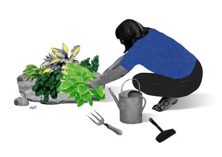 why gardening is good for mental health