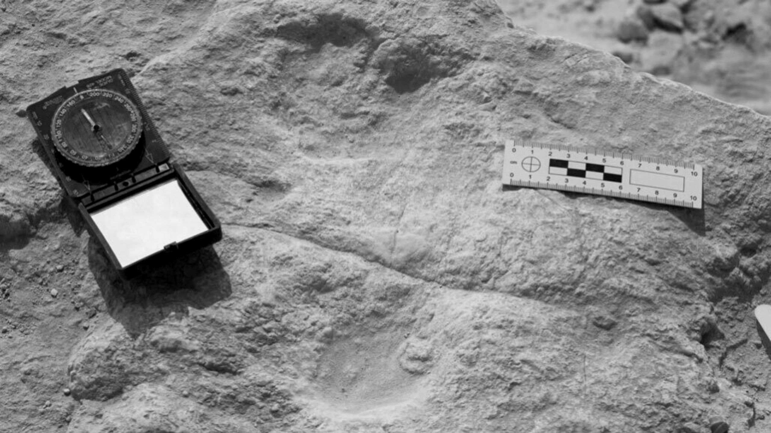 early human footprints arabian peninsula