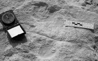 early human footprints arabian peninsula