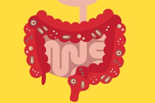 gut microbiome