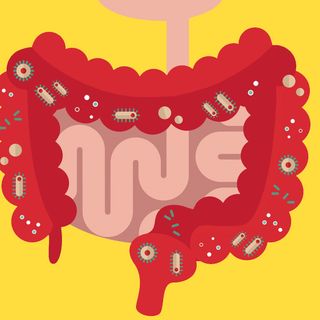 gut microbiome