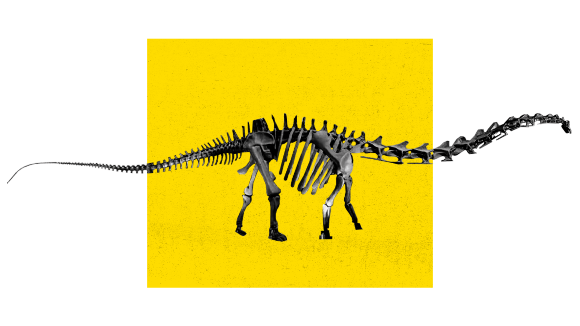 what is the longest dinosaur