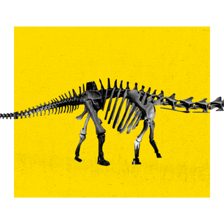 what is the longest dinosaur