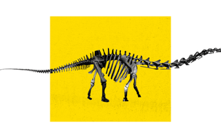 what is the longest dinosaur