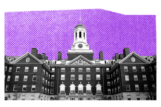 caste discrimination harvard university