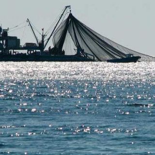 carbon emissions from trawling