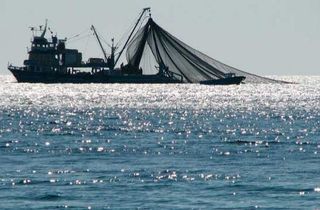 carbon emissions from trawling