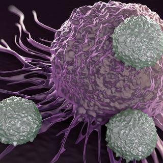 what is lupus