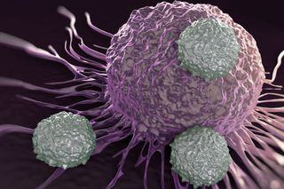 what is lupus