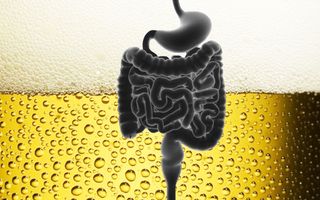 what is autobrewery syndrome